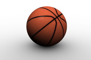 乐鱼娱乐app-决赛后双方球员握手致敬体现体育精神，篮球比赛双方握手